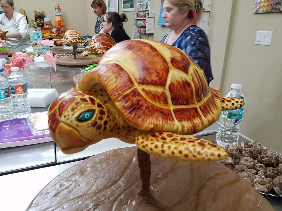 carousel chooser